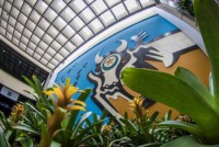 04/06/2016 - Justiça declara greve ilegal e servidores da segurança e Detran devem retornar ao trabalho